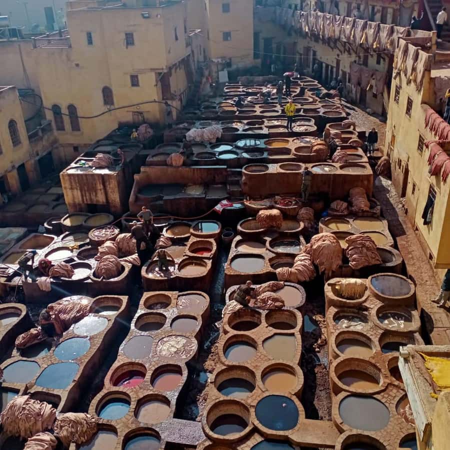 A tour with an expert guide in the old city of Fez - Key points