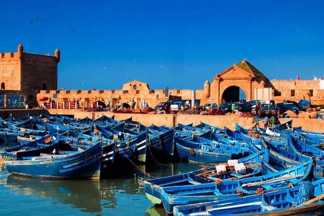 A wonderful day in Essaouira from Marrakech - Group size, pace, and who it suits best
