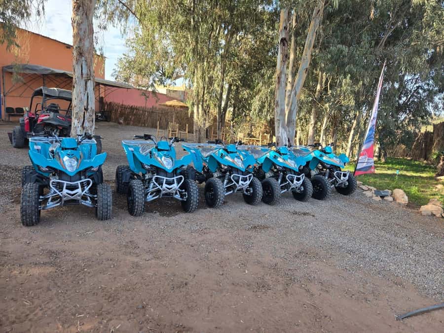 Agadir : 2 h Quad biking excursion with moroccan tea - Key things I’d prioritize before you book
