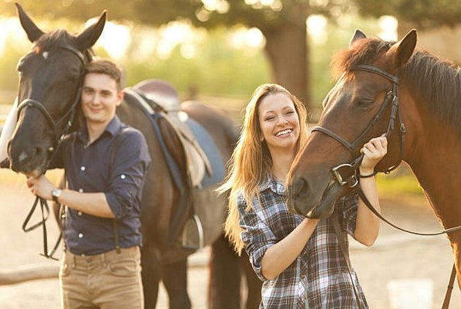 Agadir 2-Hour Horse Riding Experience with Pickup - Sunset Horse Riding in Agadir, What the Experience Actually Feels Like