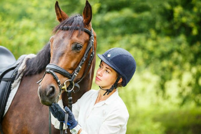 Agadir 2-Hour Horse Riding Experience with Pickup - The 2-Hour Sunset Ride, Pacing and What You Might See