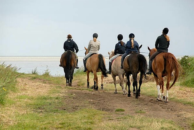 Agadir 2-Hour Horse Riding Experience with Pickup - Guides and Comfort: What the Best Reviews Emphasize