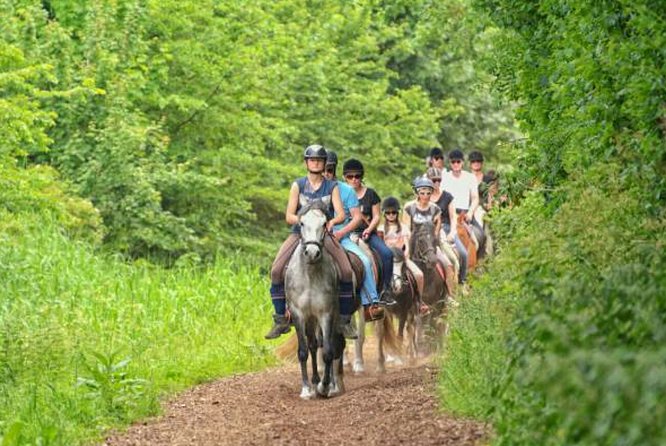 Agadir 2-Hour Horse Riding Experience with Pickup - Common Complaints to Watch For Before You Book