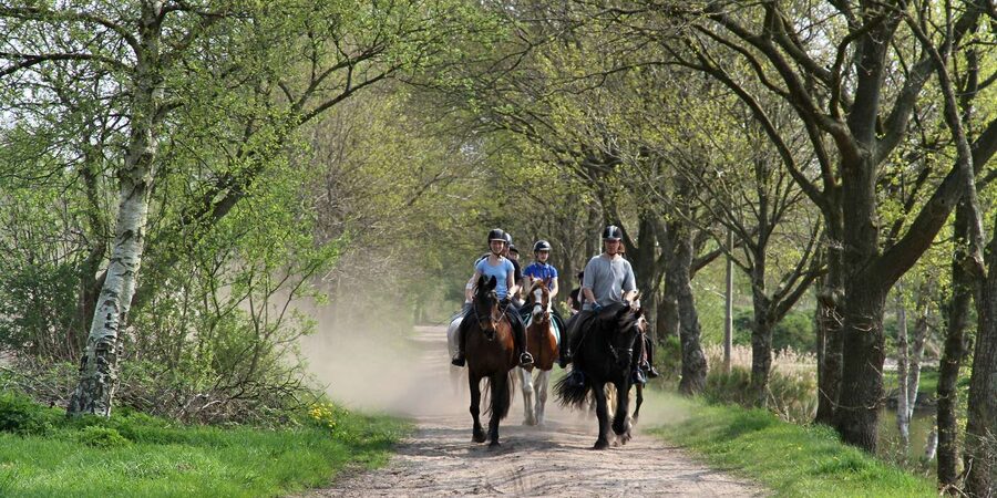Agadir 2hours Horse Riding visite the flamingo river - Should You Book This 2-Hour Agadir Horse Riding Stop?