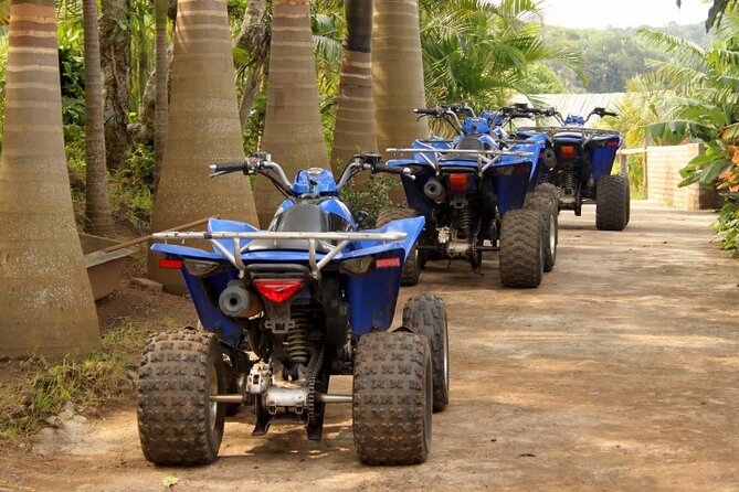 Agadir Adventure Tour with Quad Biking Experience - The ride back to the start, plus the Berber-style breakfast pause