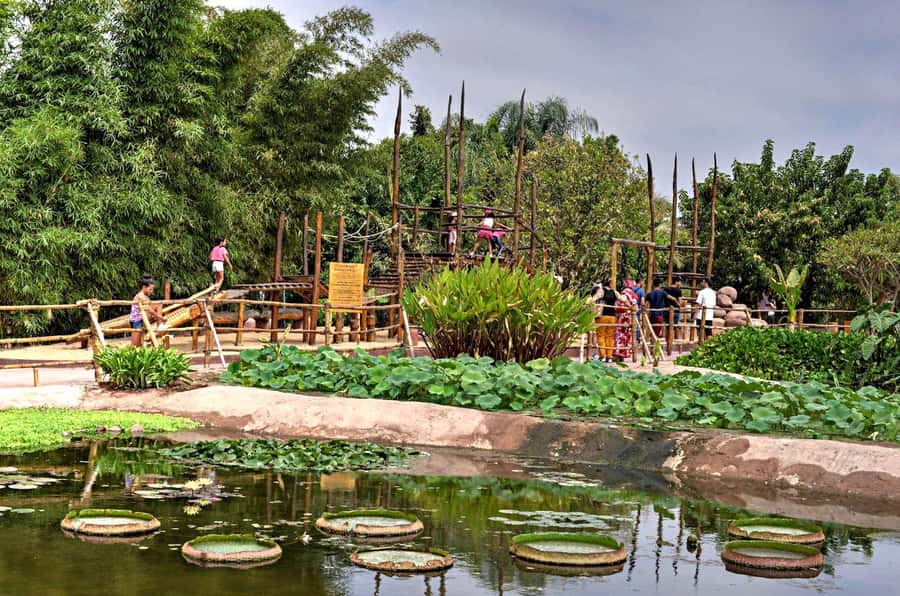 Agadir: Agadir Crocodile Park Adventure - Hotel pickup and drop-off from Agadir, how the day stays easy
