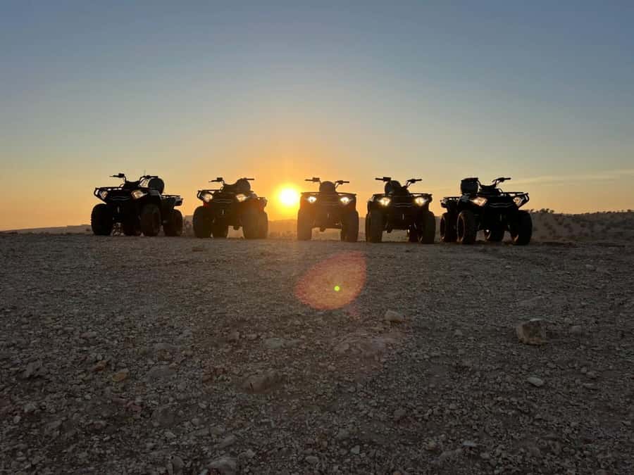 Agadir: Agafay Desert Quad Biking With Goats On The Tree - Goats in Argan Trees: The Most Bizarre Photo Opportunity