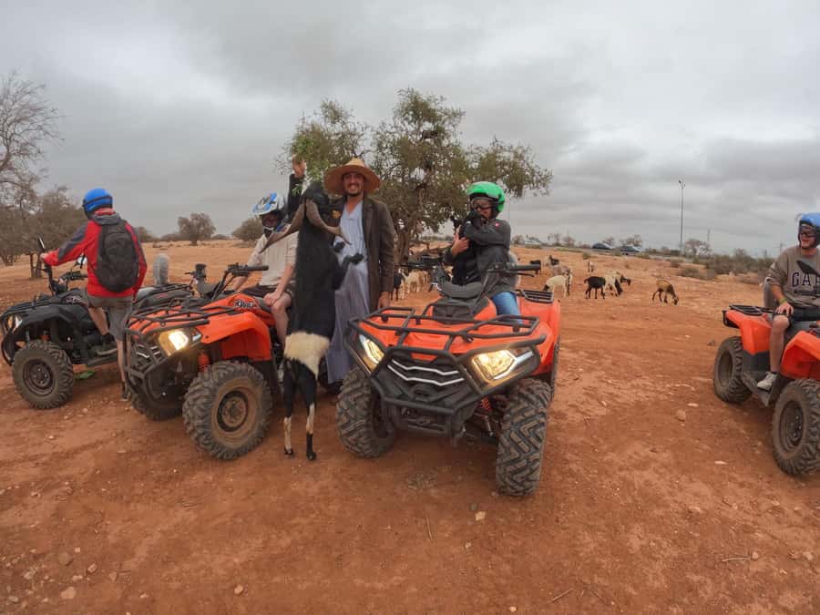 Agadir: Agafay Desert Quad Biking With Goats On The Tree - Dust, Safety, and Comfort: What to Bring (So Your Day Stays Fun)