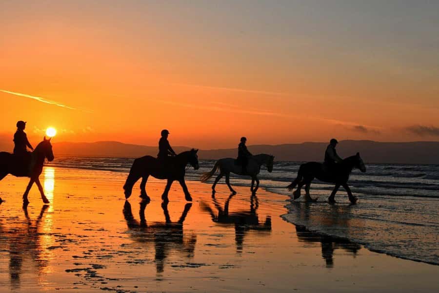 Agadir and Taghazout: 2-Hour Horseback Ride on the Beach - Key highlights worth your attention