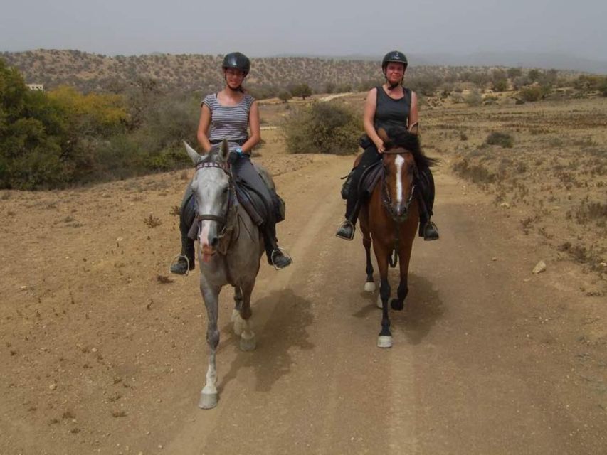 Agadir and Taghazout: 2-Hour Horseback Ride on the Beach - Who should book this ride, and who should reconsider