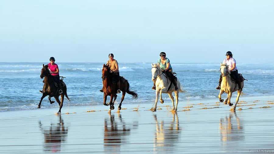 Agadir and Taghazout: 2-Hour Horseback Ride on the Beach - Hotel pickup to شاطئ أورير: where the ride starts