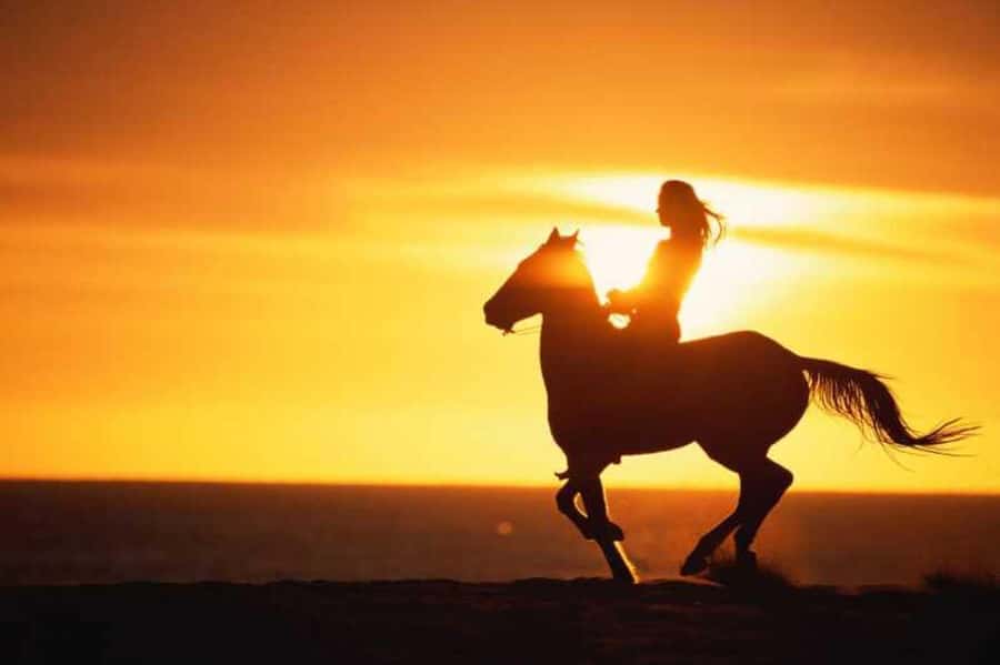 Agadir and Taghazout: 2-Hour Horseback Ride on the Beach - Sunrise or sunset at the coast: how to choose your best time