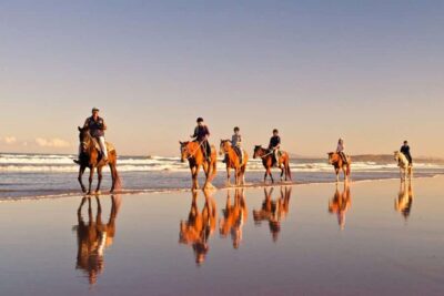 Agadir and Taghazout: 2-Hour Horseback Ride on the Beach