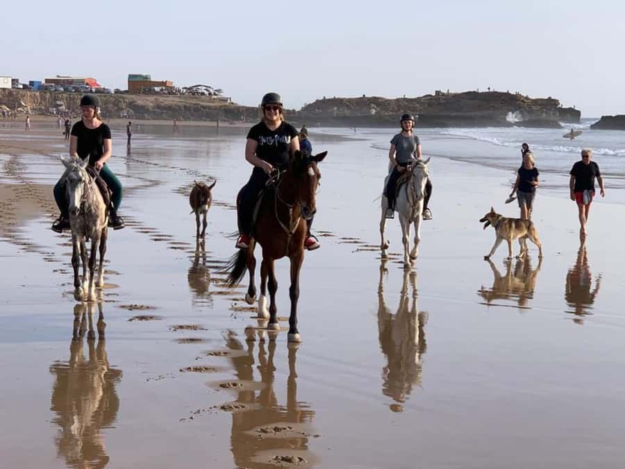 Agadir and Taghazout: 2-Hour Horseback Ride on the Beach - Small group up to 8: why the pacing feels fair
