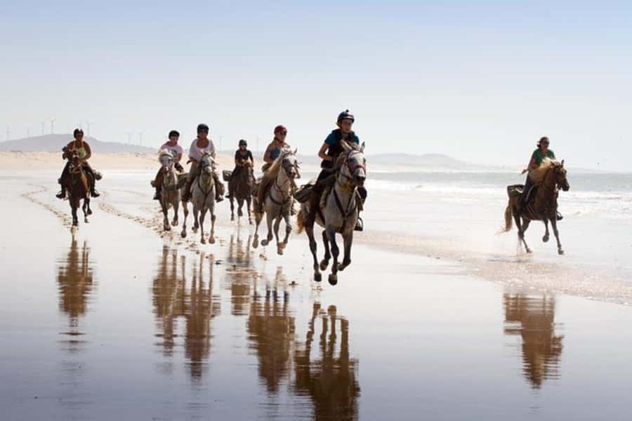 Agadir and Taghazout: 2-Hour Horseback Ride on the Beach - Horse matching by ability and weight: the safety and comfort factor