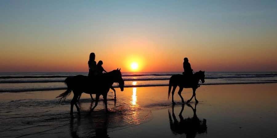 Agadir and Taghazout: 2-Hour Horseback Ride on the Beach - Guide photos and videos: the value you might not expect