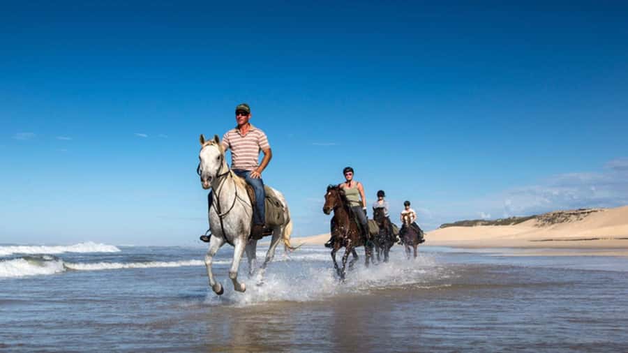 Agadir and Taghazout: 2-Hour Horseback Ride on the Beach - Horses and welfare: what the stable vibe says about your experience