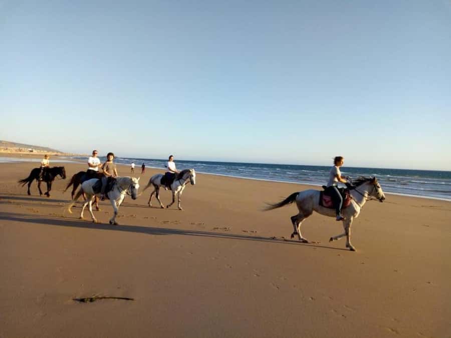 Agadir and Taghazout: 2-Hour Horseback Ride on the Beach - Price and value: is $176 per person fair?