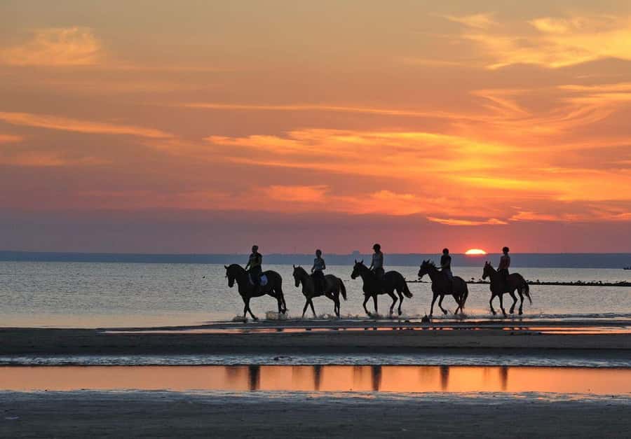 Agadir and Taghazout: Morning Horse Ride on The Beach - Sunrise Horses Along Agadir and Taghazout Beaches