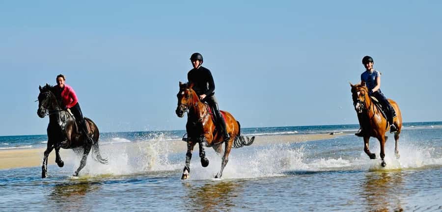 Agadir and Taghazout: Morning Horse Ride on The Beach - Price and Value: Is $45 Fair for a Beach Ride?