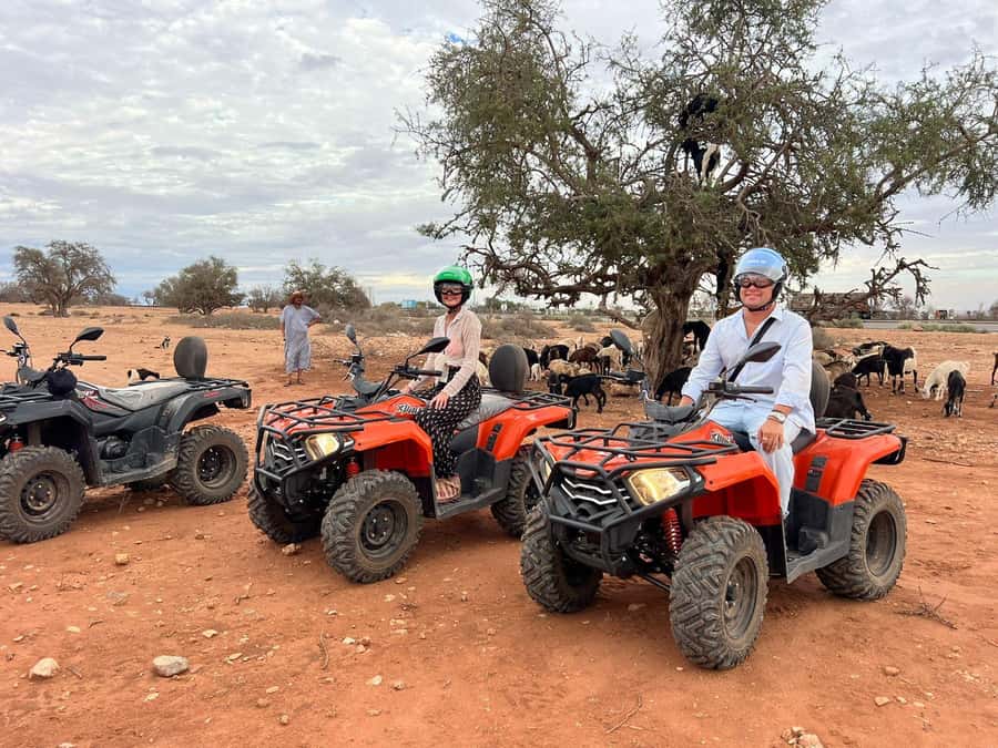 Agadir: ATV Quad Biking and Goats On Argan Trees with Tea - Key Highlights You Should Care About