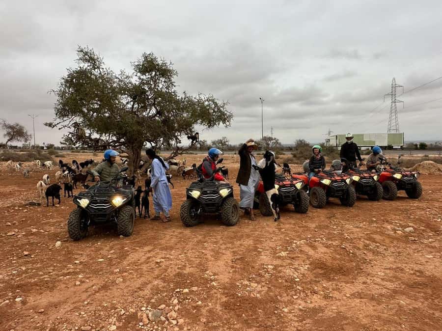 Agadir: ATV Quad Biking and Goats On Argan Trees with Tea - What the Schedule Feels Like in Real Time
