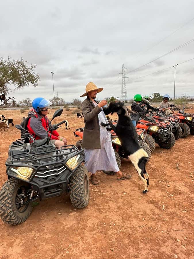 Agadir: ATV Quad Biking and Goats On Argan Trees with Tea - Safety, Guides, and How the Group Size Changes the Experience