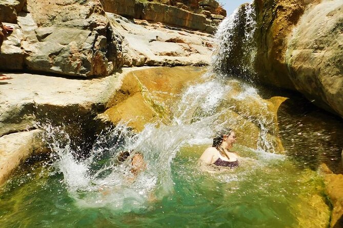 Agadir: Bath at Paradise Valley and Atlas Mountains - Argan forest, honey road, and the trees you’ll actually notice