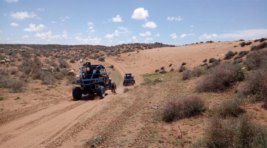Agadir: Buggy Safari Adventure - Should You Book This Buggy Safari Adventure?