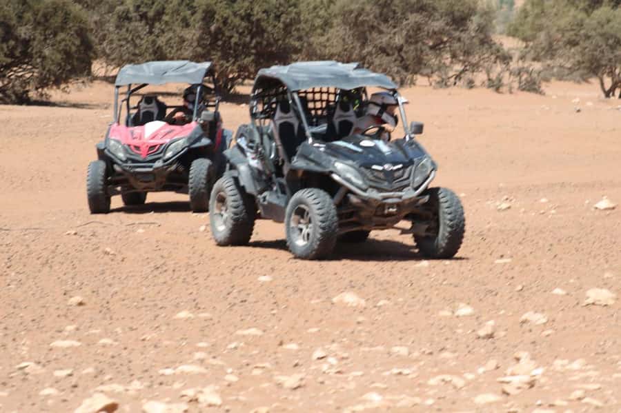 Agadir: Buggy Safari with Mint Tea & Free Agadir Pick-Up - Key Things to Know Before You Go