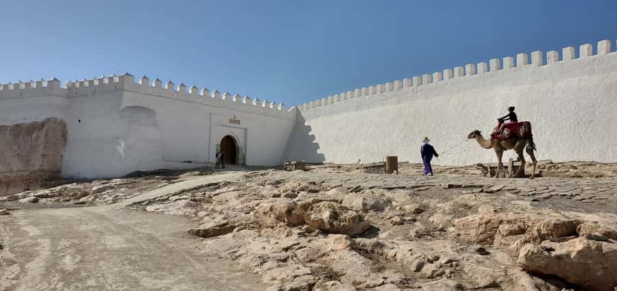 Agadir: Cable Car Ticket and Guided City Tour - Who this Agadir tour suits best