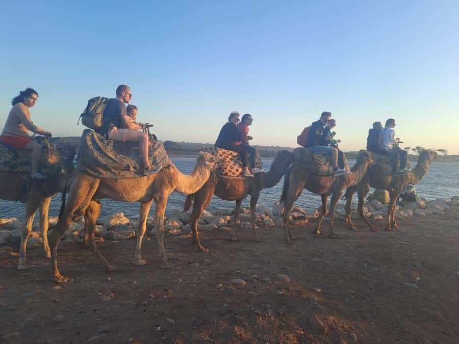 Agadir: Camel or Horse Ride + BBQ & Transfer Sunset Optional - Door-to-Door Pickup, Then a Short Break Before the Ride
