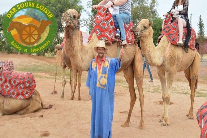 Agadir Camel Ride Experience - Key Highlights Worth Your Time