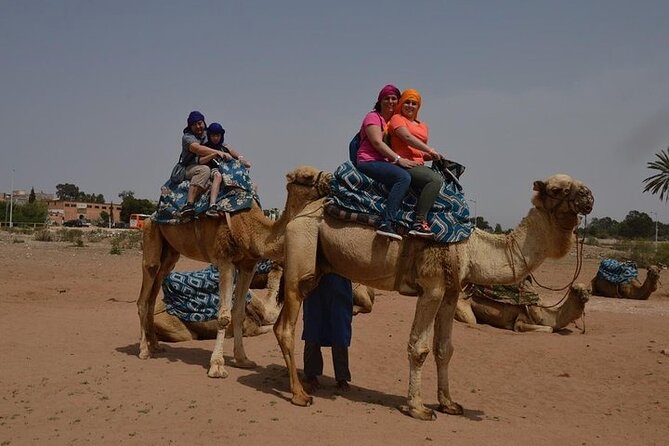 Agadir Camel Ride Experience - Getting From Agadir to the Ranch Without Losing Your Day