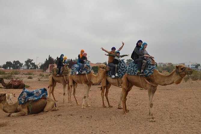 Agadir Camel Ride Experience - The Ride Through Aghroud Bensergao Village and Eucalyptus Groves