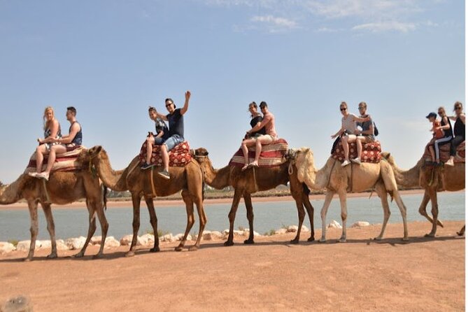 Agadir Camel Ride Experience - Tea and Moroccan Cakes Back at the Ranch