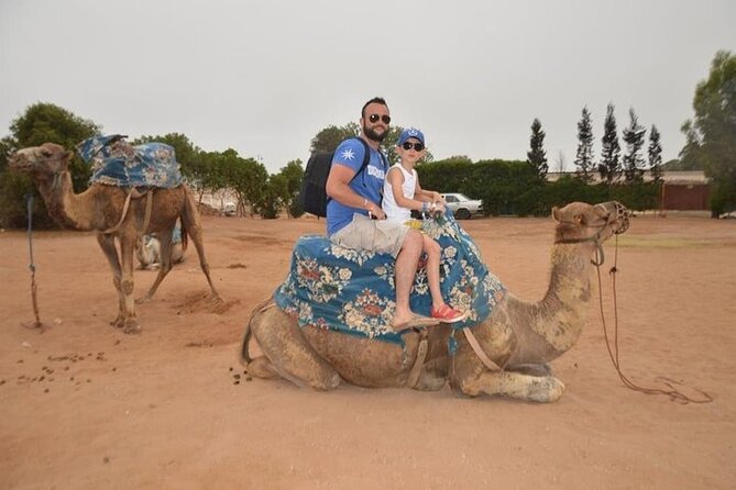 Agadir Camel Ride Experience - Price and Value: What You Pay for $42.97