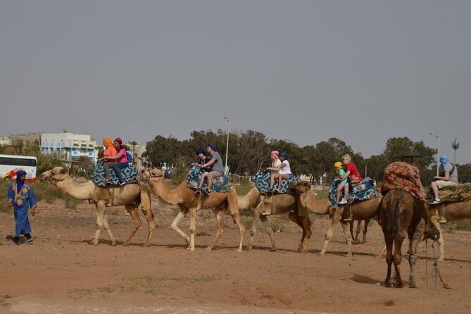 Agadir Camel Ride Experience - Timing Tips, Group Size, and Photo Prep That Actually Helps