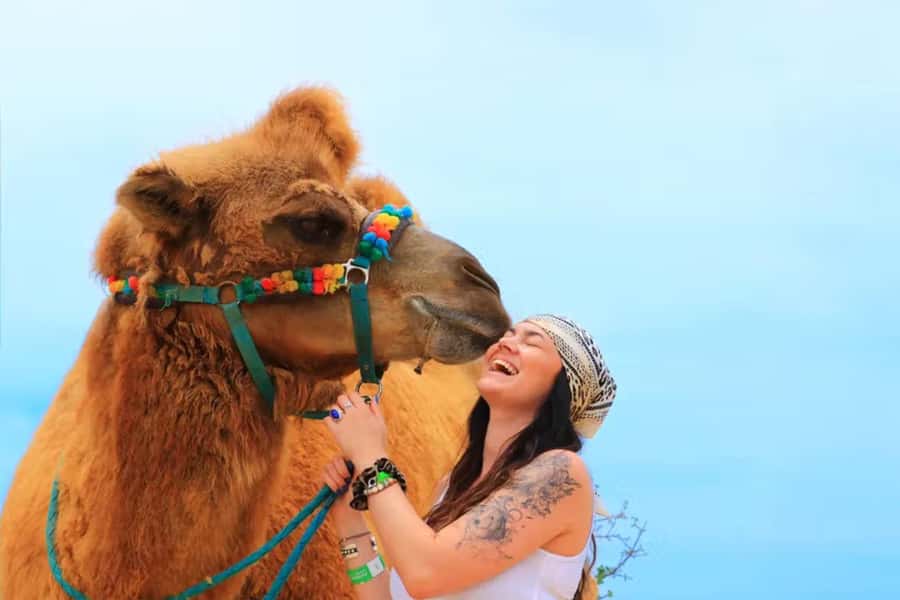 Agadir: Camel Ride Experience With Dinner Option - Entering the Eucalyptus and Souss River Route
