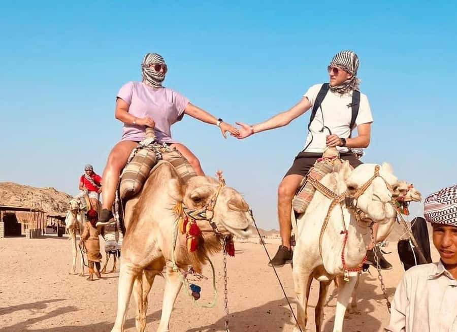 Agadir: Camel Ride Experience With Dinner Option - The Tea Break That Makes the Whole Tour Feel Local
