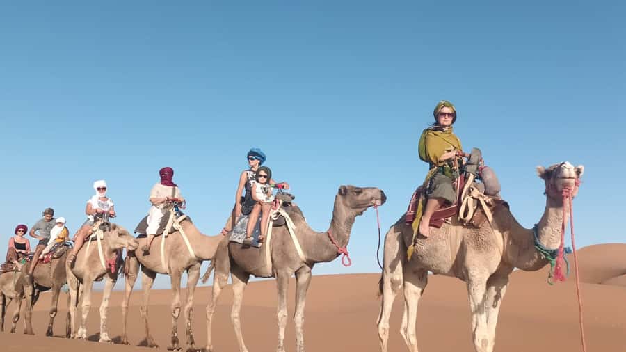 Agadir: Camel Ride Experience With Dinner Option - Timing, Sunset Dreams, and What to Do With Photo Expectations