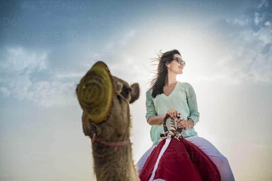 Agadir: Camel Ride Experience With Dinner Option - Practical Tips for a Better Camel Ride in Agadir