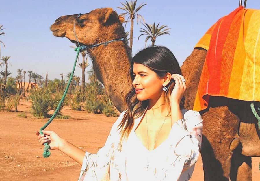 Agadir: Camel Ride Experience With Dinner Option - Who This 2-Hour Camel Ride Suits Best
