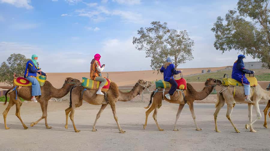 Agadir: Camel Ride Experience With Dinner Option - Why the King’s Palace Ranch Area Transfer Works So Well