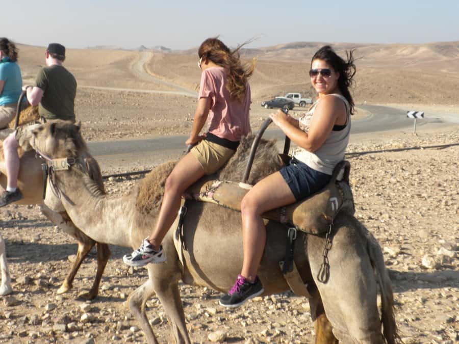 Agadir Camel Ride Flamingo River & BBQ Dinner - The camel ride itself: comfortable pace, real contact, good photo ops