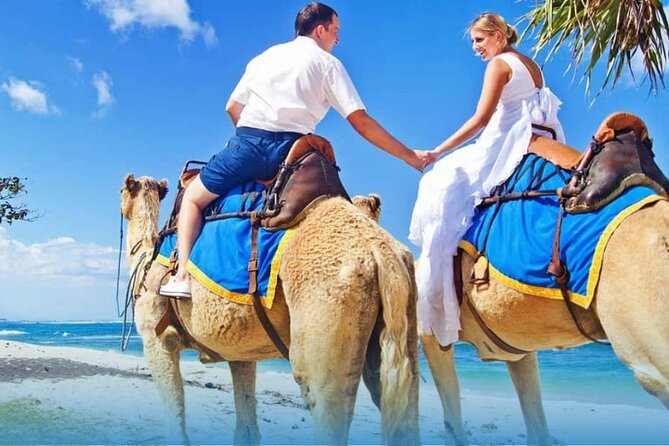 Agadir Camel Ride with BBQ and Couscous - Key things to know before you go