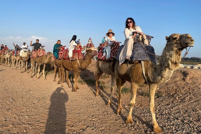 Agadir Camel Ride with BBQ and Couscous - The 2-hour camel ride: what it feels like and what to watch for