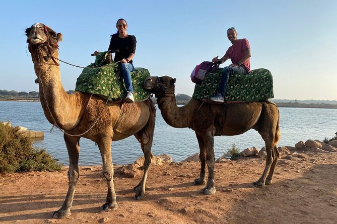 Agadir Camel Ride with BBQ and Couscous - BBQ, couscous, and salads: what’s included and how to plan your appetite