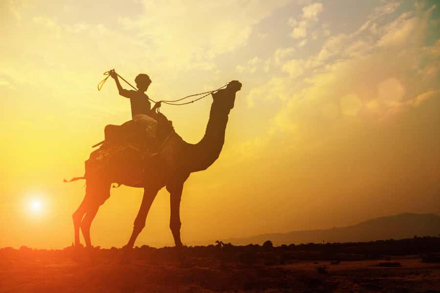 Agadir: Camel Ride With Tea - Key highlights I think you’ll care about