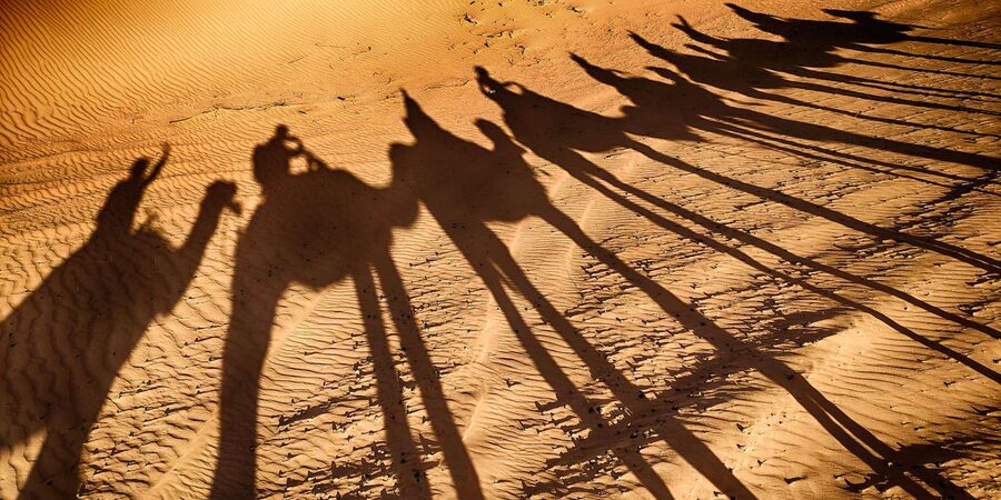 Agadir: Camel Ride With Tea - How long it really takes and what that means for your day